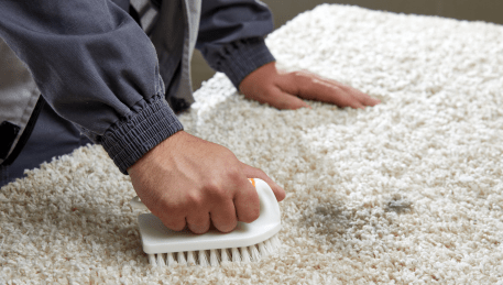 Professional Rug Cleaning Fingal