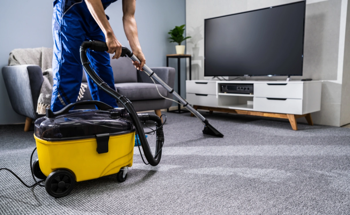 Extract Rug Cleaning Fingal Contact Office